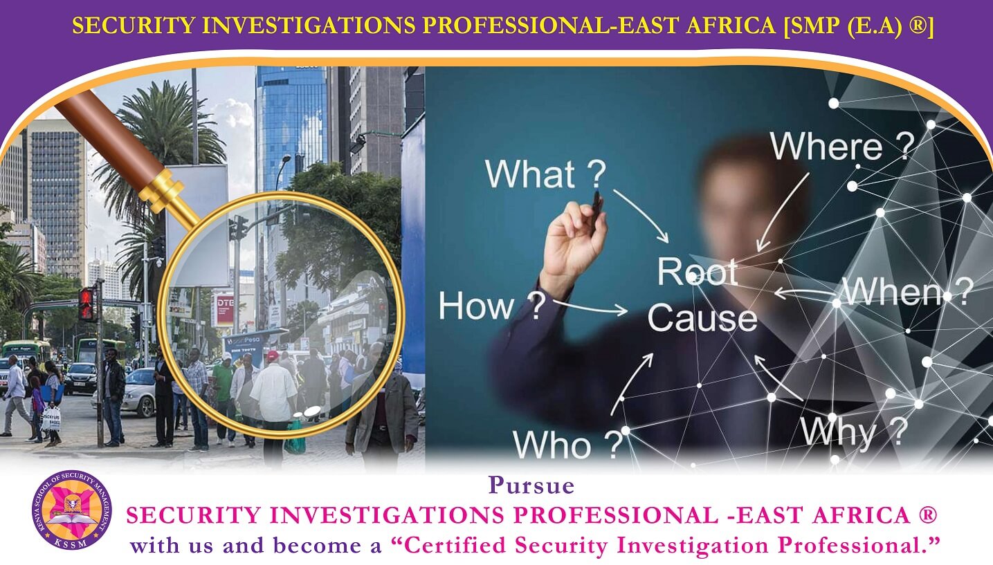 Security Investigation Professional-E