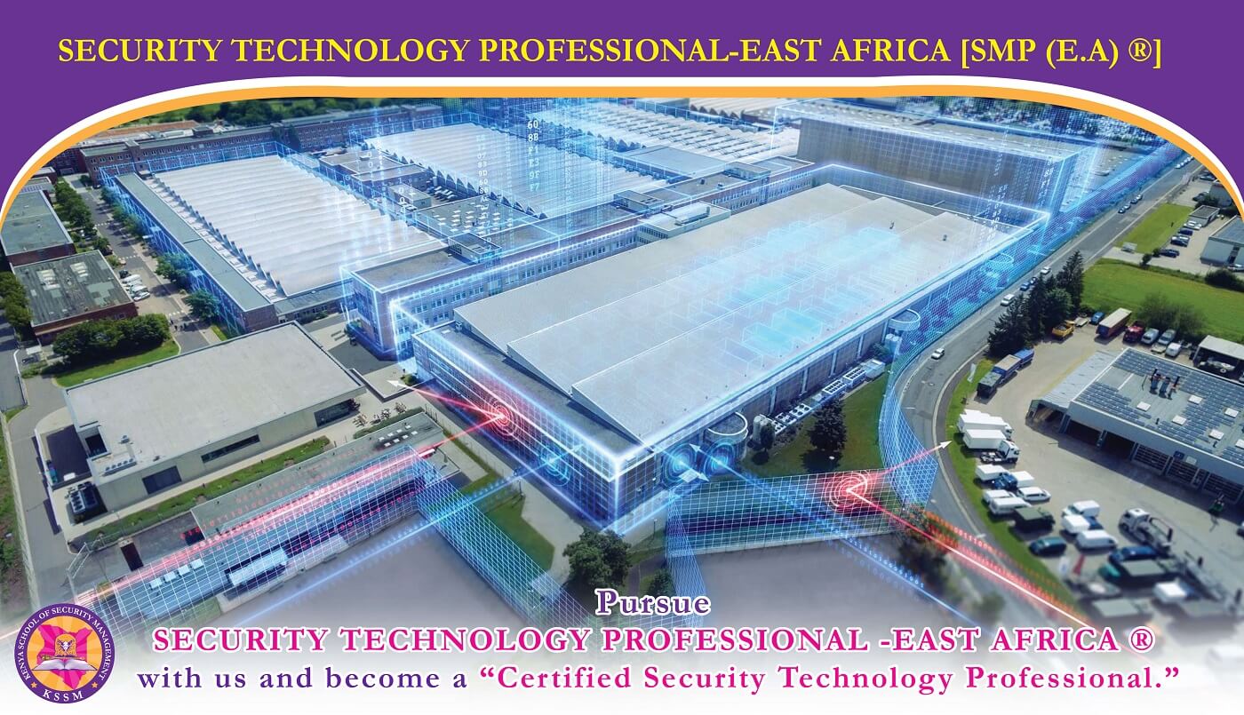 Security Technology Professional